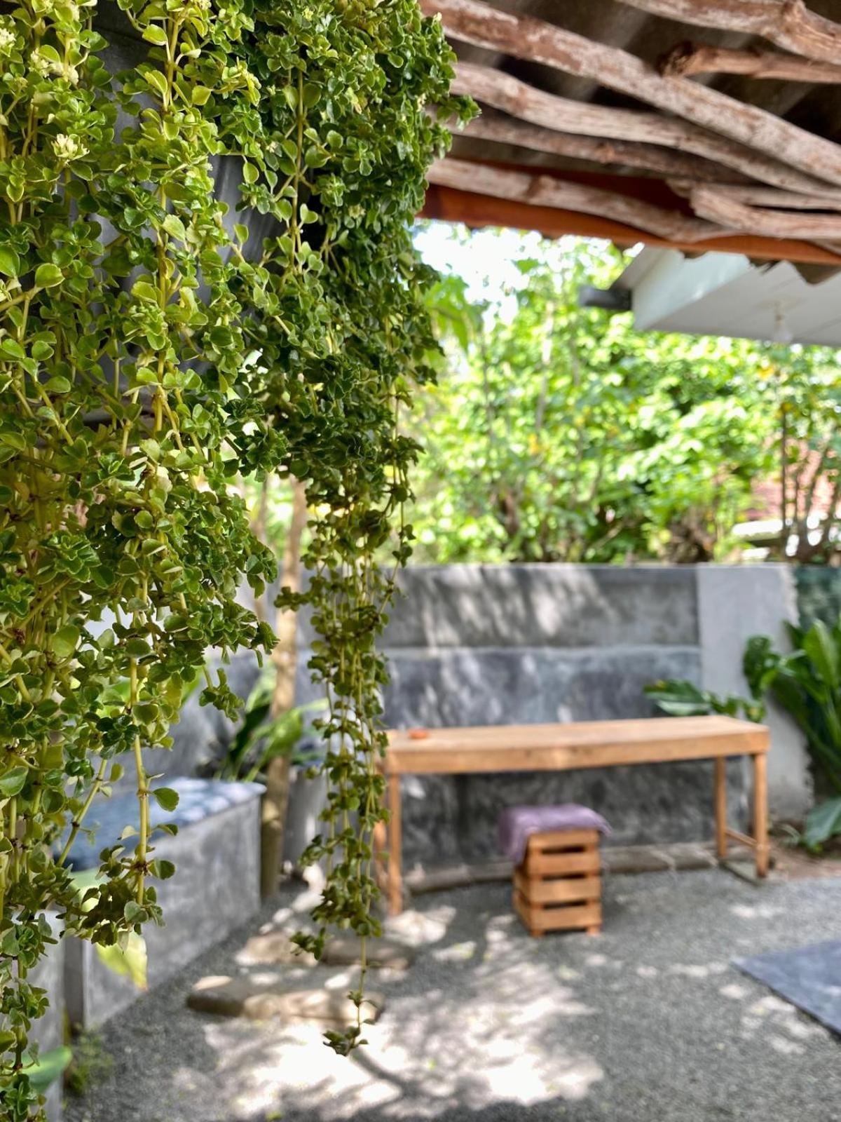Seacret Soul Villa & Cafe マータラ エクステリア 写真
